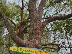 -天目湖山水园