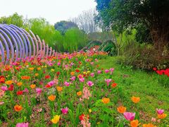 -上海鲜花港