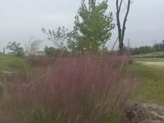 -三圣花乡旅游区