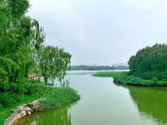 -大兴滨河森林公园