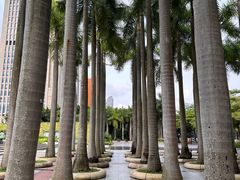 -深圳国际园林花卉博览园