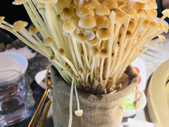 -麻路成都火锅(柏威年店)