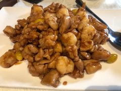 -丁老爷子苏香圆