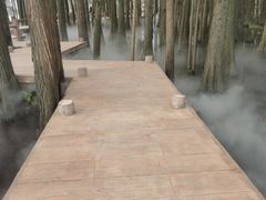 -东湖落雁景区