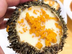 -蚝专家(北滘店)