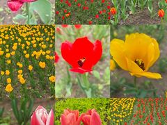 -长春公园(普阳街道)