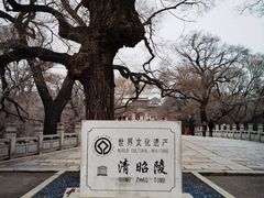 -北陵公园