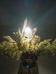 -香秀空间科技抗衰·美容中心