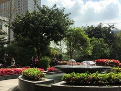 -岷山饭店-芝芝自助餐厅