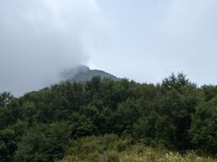 -白草畔自然风景区