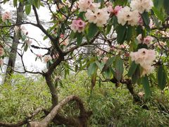 -瓦屋山景区