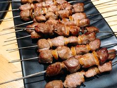 只撒盐的羊肉串-蒙料·手把肉(望京店)
