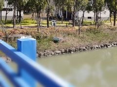 -柳鹭田园区