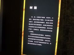 -广东省博物馆