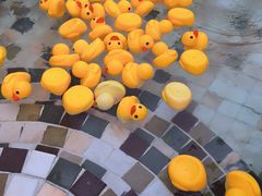 -天目湖涵田度假村