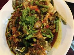 老虎斑-灯笼馆海鲜餐厅