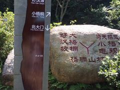 -梧桐山风景名胜区