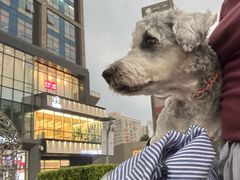 -巴黎贝甜(五道口店)