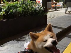 -Moka Bros 摩卡站(嘉华店)