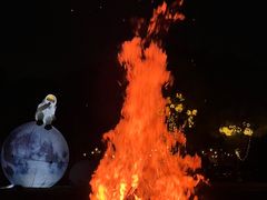 -不觉晓CAMPING(上海迪士尼营地店)