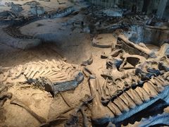 -自贡恐龙博物馆