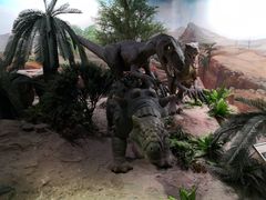 -国家自然博物馆