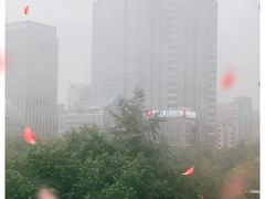 -杭州市第三人民医院