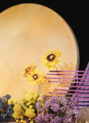 -明典婚礼策划·婚车租赁·婚纱摄影