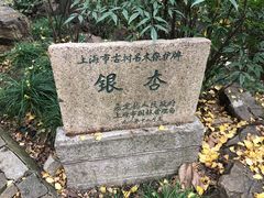 -秋霞圃