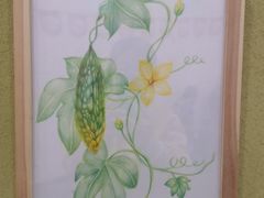 -北斗星爱涂艺术(城悦荟店)