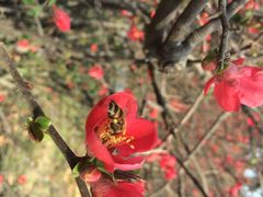 iphone_upload_pic-解放人民公园