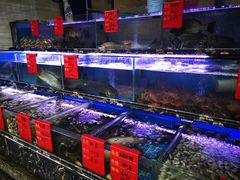 水产区-金海湾海鲜排档(朱家尖店)