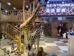 -鲁比猴非洲探索部落(喜盈门店)