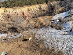 -鄂尔多斯野生动物园