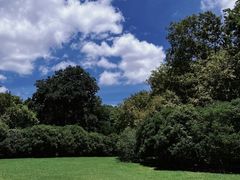 -上海共青森林公园