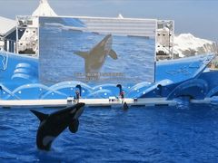 -上海海昌海洋公园