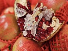 -南坛综合农贸市场