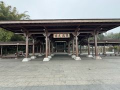 -金盆阿嬷香菇茶叶蛋(玄光店)