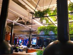 -猫爪爪原切自助烤肉(观音桥阳光世纪店)
