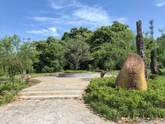 -金钉子远古世界景区