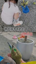 -萌宠亲子动物乐园(槐房万达店)