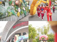 -灵玲国际马戏城