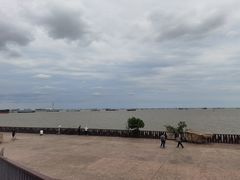 -上海滨江森林公园