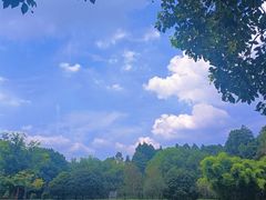 -东湖落雁景区