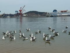 -海驴岛(荣成市)