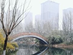 -洋湖国家湿地公园