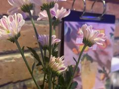 -blue frog蓝蛙(长泰广场店)