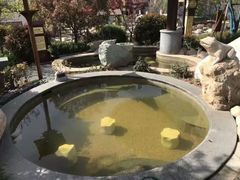 -太白山御龙湾温泉