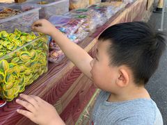 -西双版纳傣族园