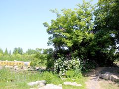 -泗洪洪泽湖湿地景区